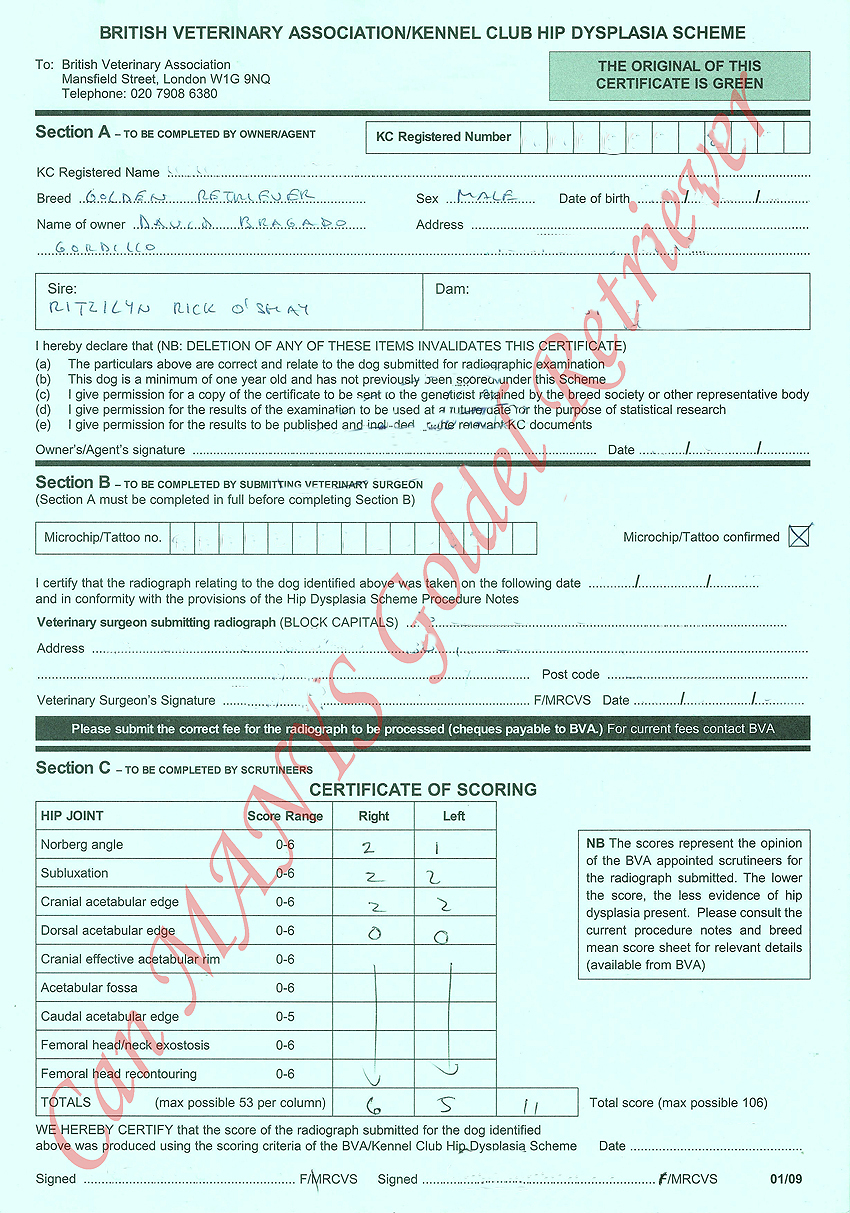 Ch. PHOENIX de RIA VELA "Andy" CERTIFICADOS / CERTIFICATES